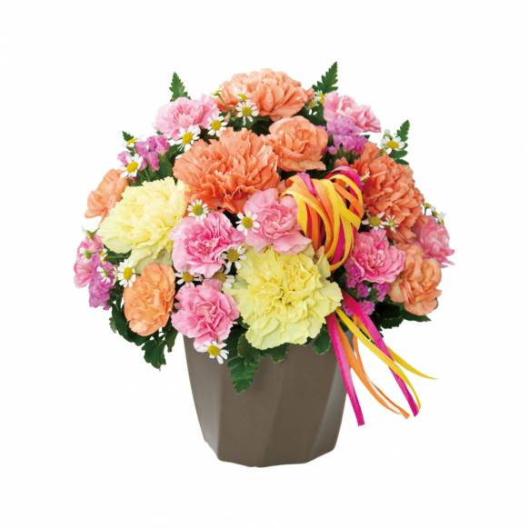 カーネーションのハミングアレンジメント（オレンジ）